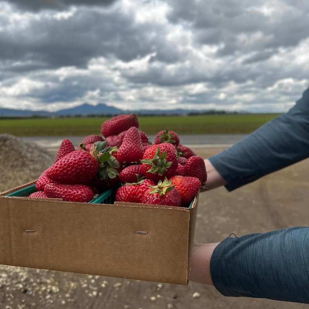 Berry Best Family Farm 1