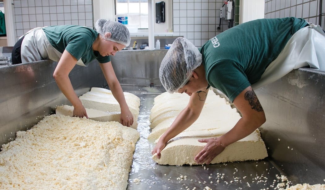 Sun to Cheese Tour 1