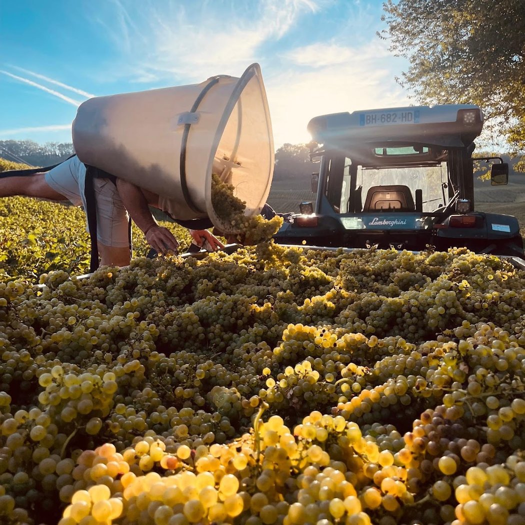 DOMAINE JEAN-CLAUDE & VALENTIN CREDOZ 1