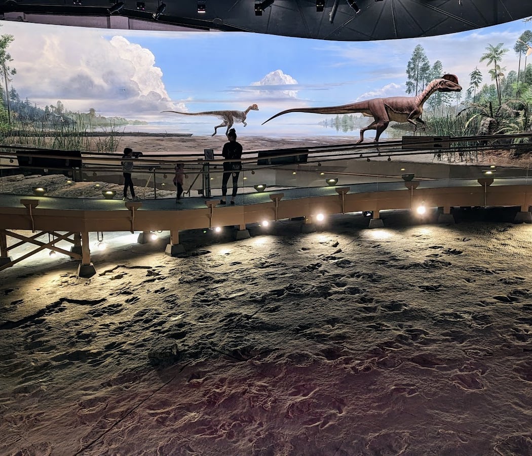 Dinosaur State Park 1