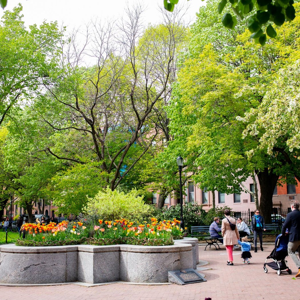 Smith Street Stage Will Present Free JULIUS CAESAR in Brooklyn's Carroll Park 3