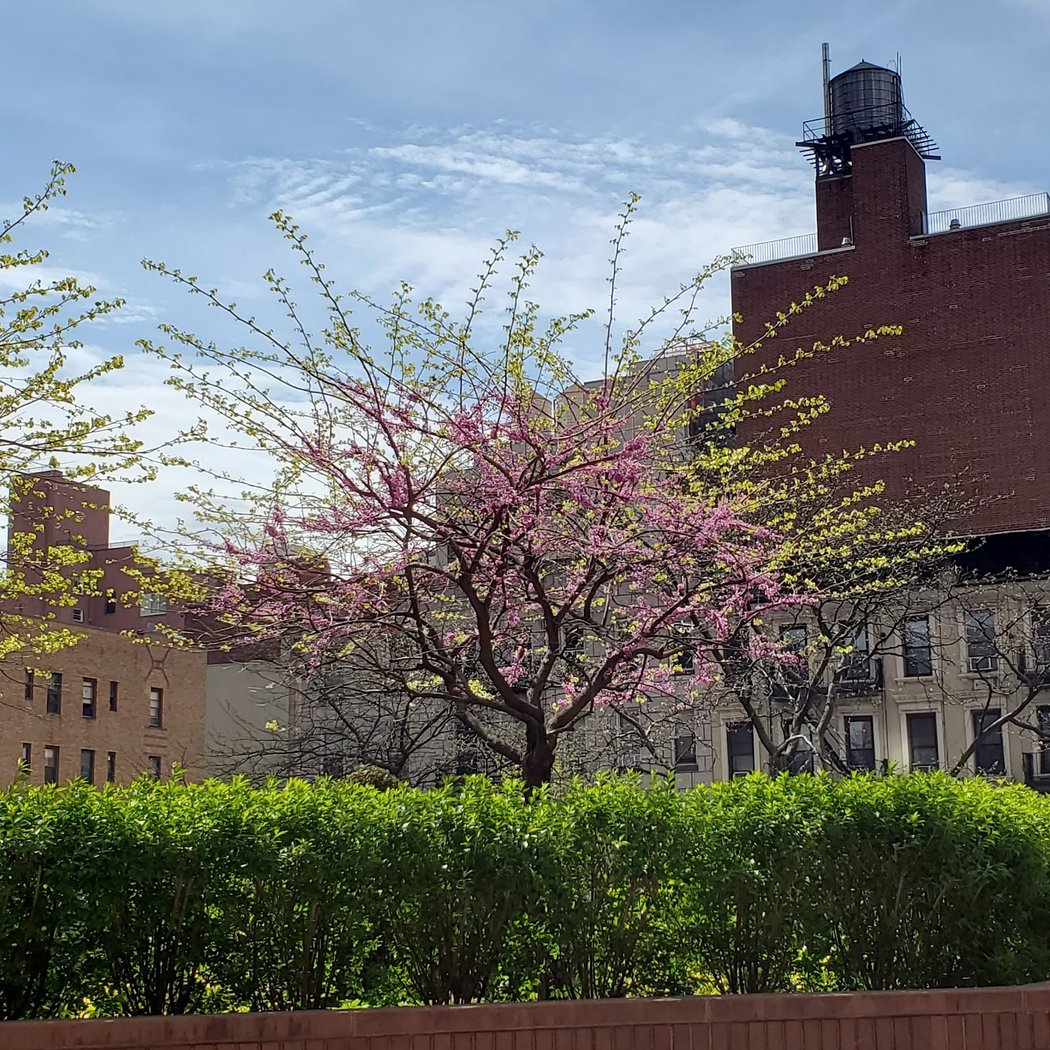 Ruppert Yorkville Towers Condominium 1