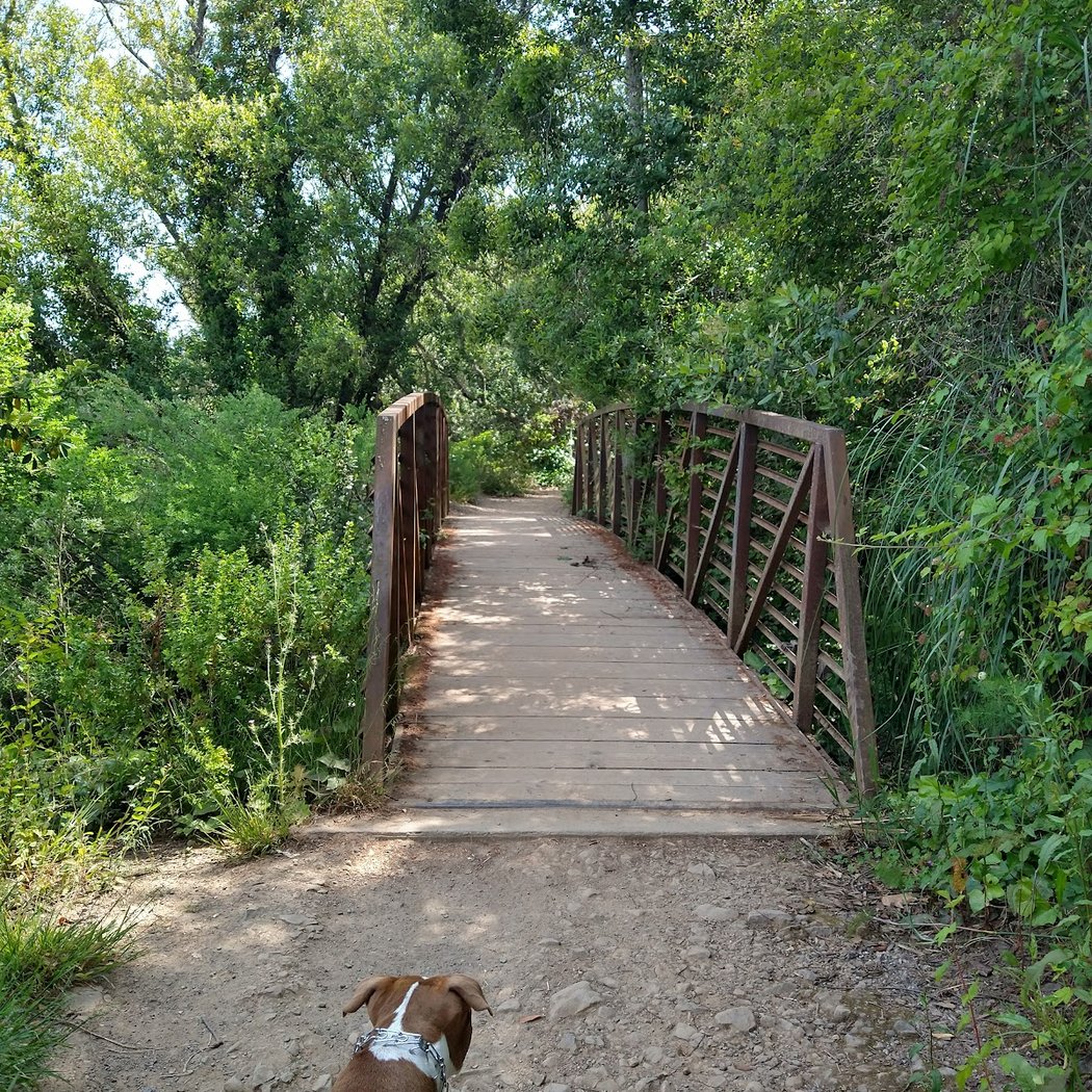 Bridgeview Trailhead 3