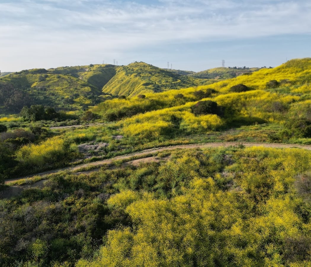 June Hike – Discover 22 Species 1