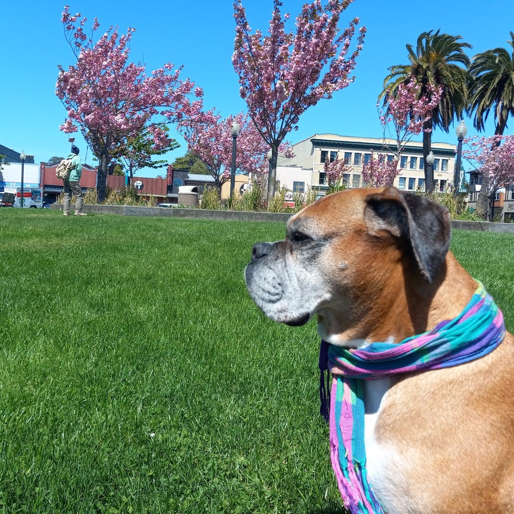 Esposti Park 1