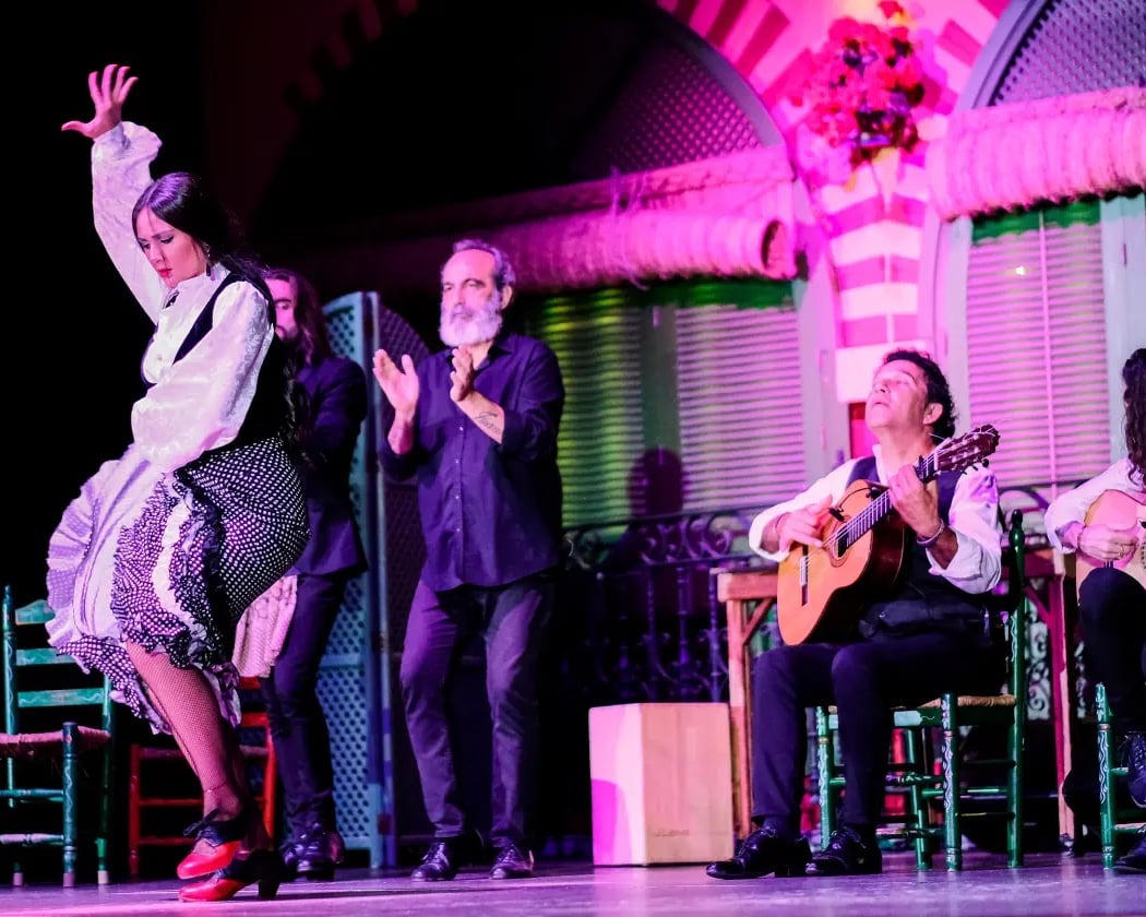 Espectáculo de Flamenco & Cena 3