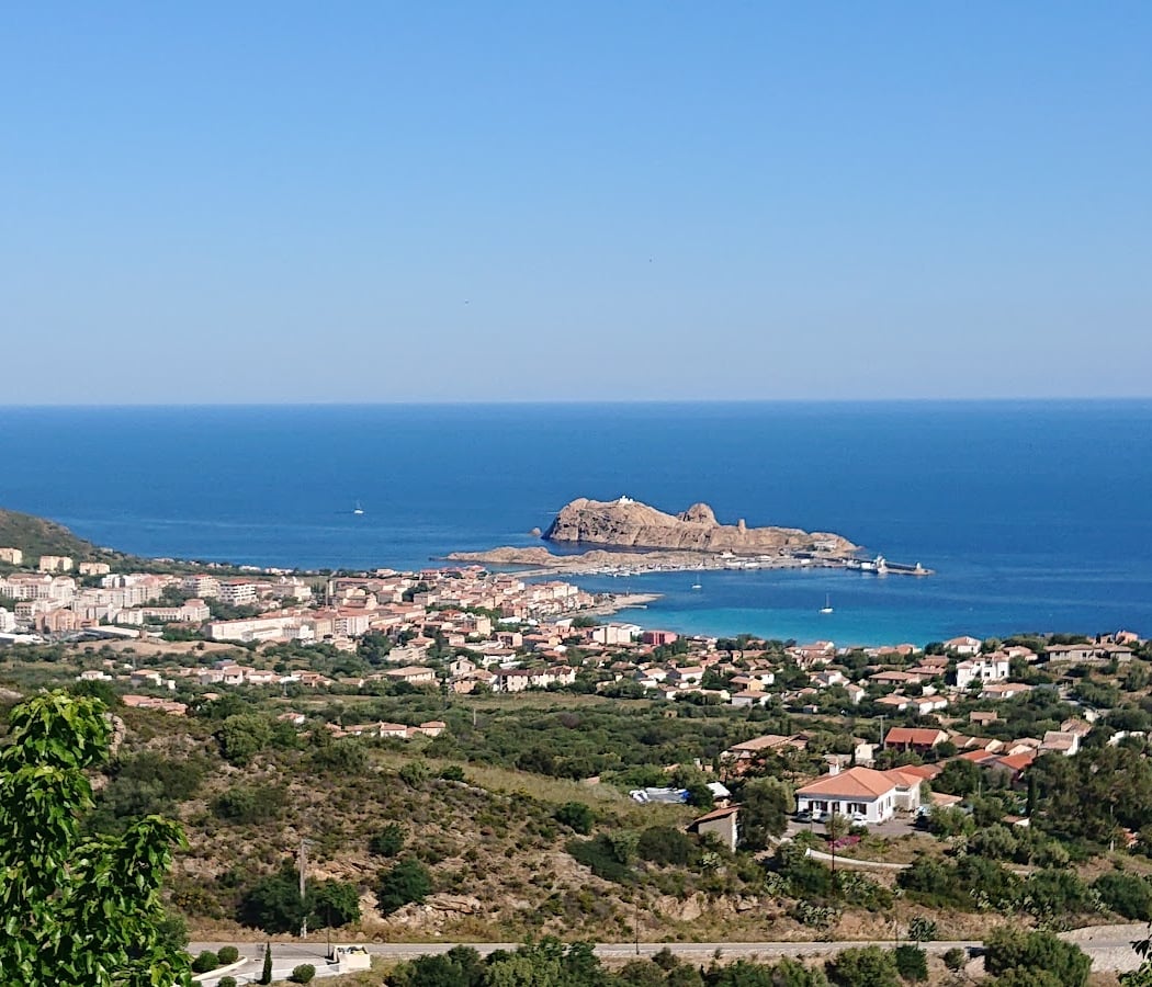 A Pasturella 2