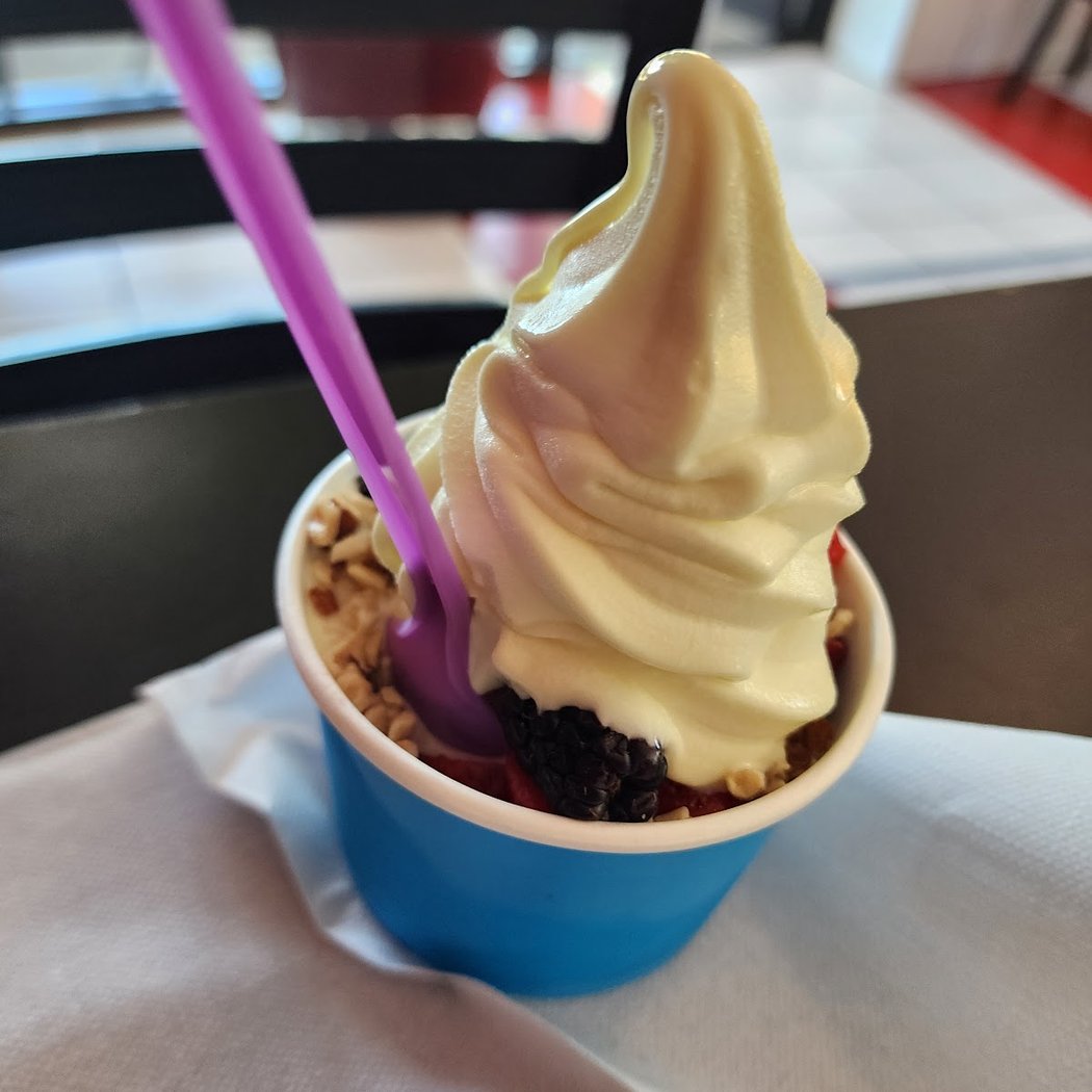 Yogurt Deluxe 3
