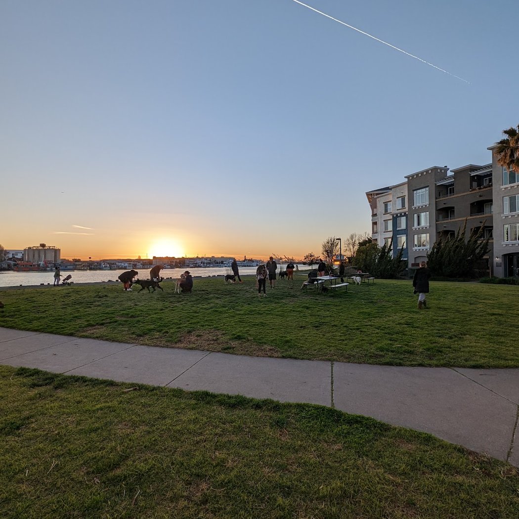 Dog Play Area at The Landing 3