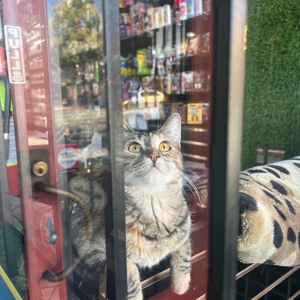 Stop and save market 3