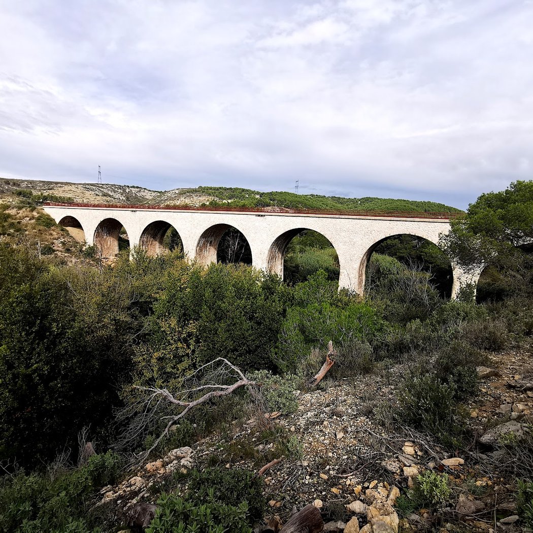 Parcours Botanique 3