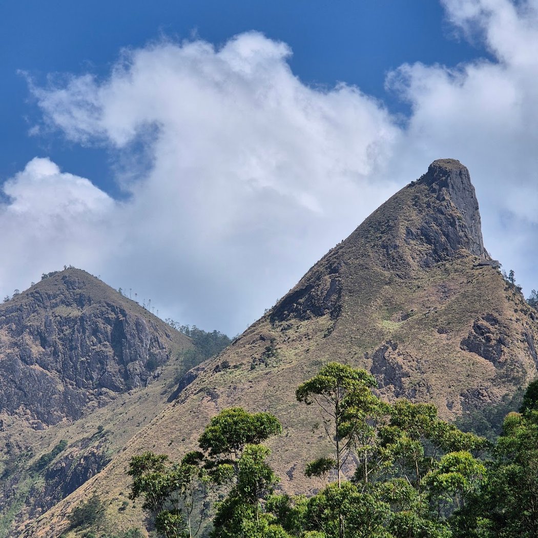 Jaguar Rock, Kerala 2
