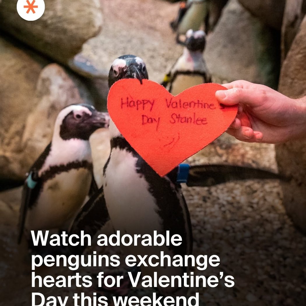 Penguin Heart Exchange for Valentine's Day 1