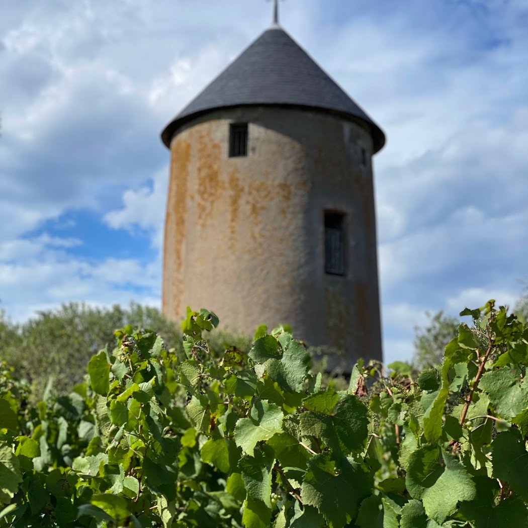 Domaine Ménard-Gaborit 3