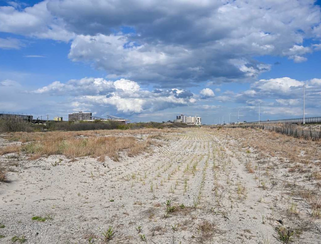Arverne East Nature Preserve 2