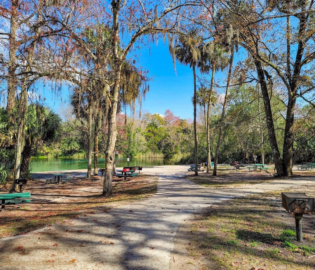 Alexander Springs Recreation Area 3