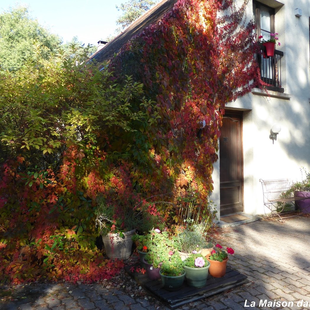The House in the Forest of Fontainebleau 1