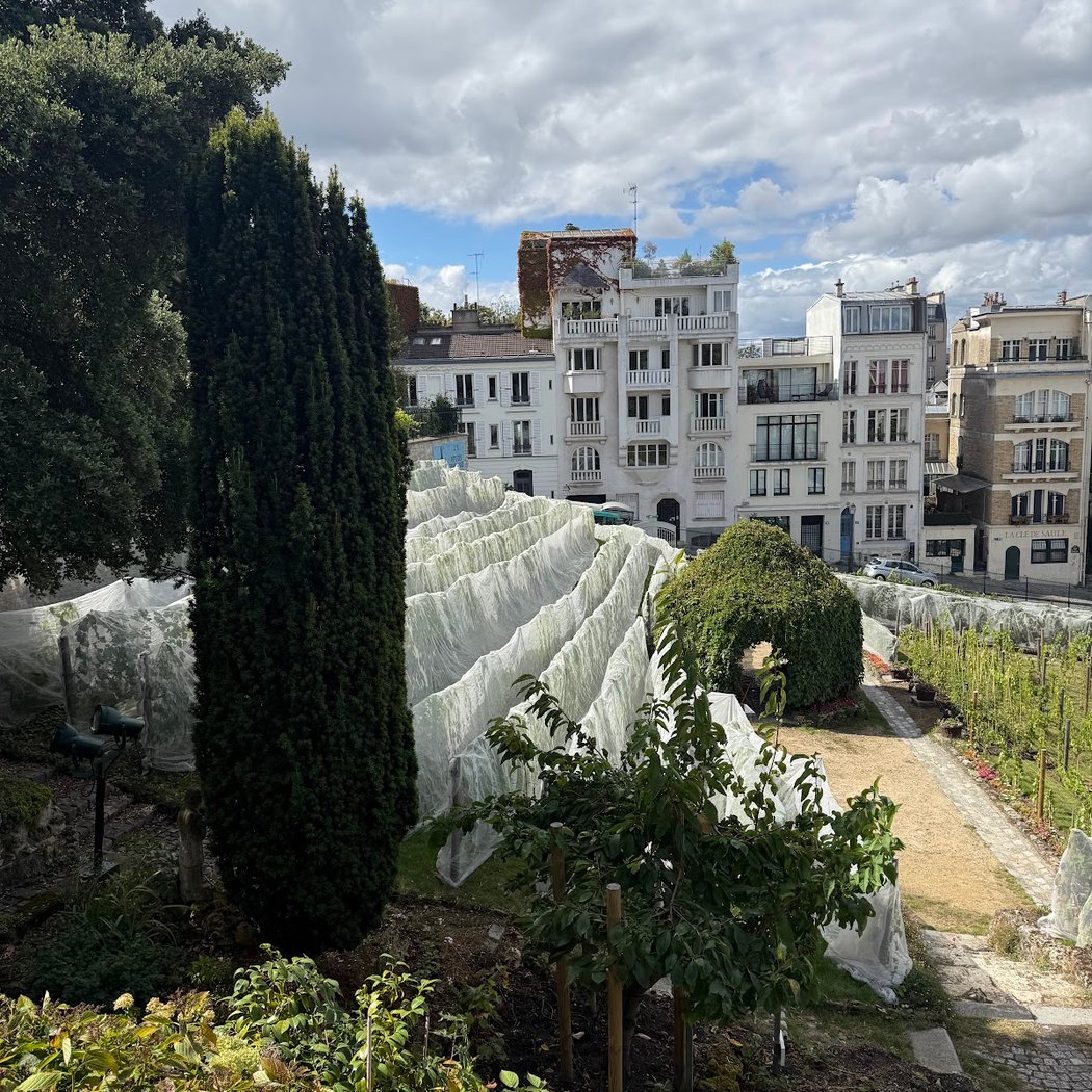 Fête des vendanges 3