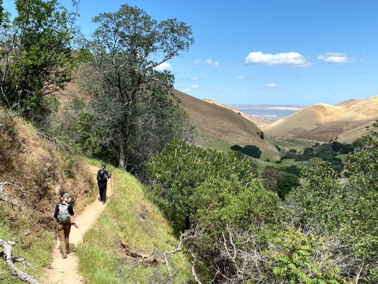 Black Diamond Mines Regional Preserve 3