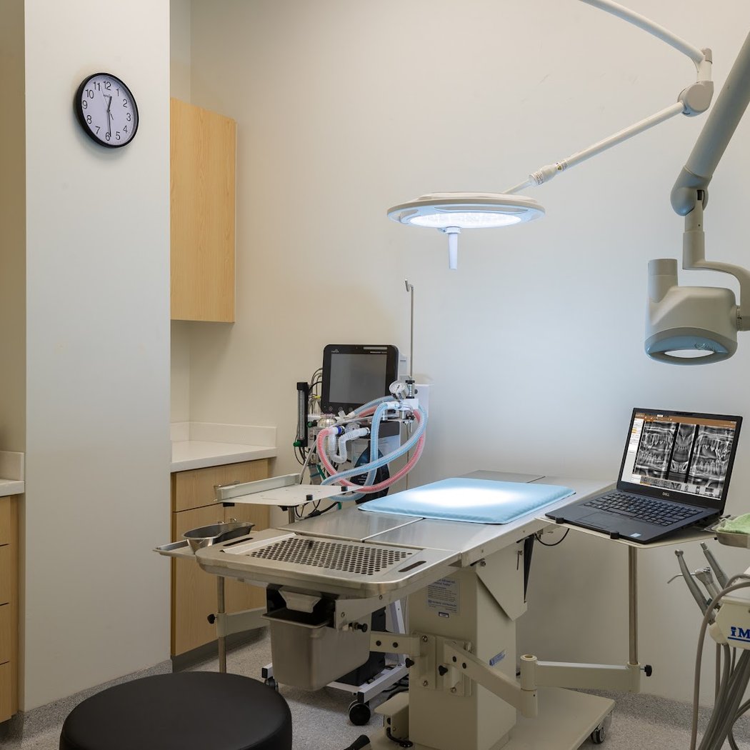 Murphy Pet Hospital 3