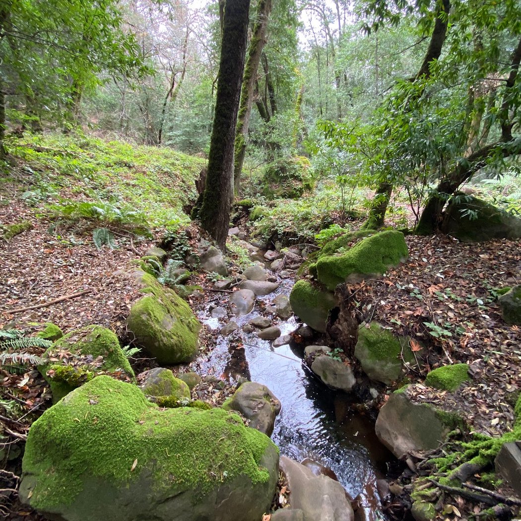 John Nicholas Trailhead in Sanborn County Park 3