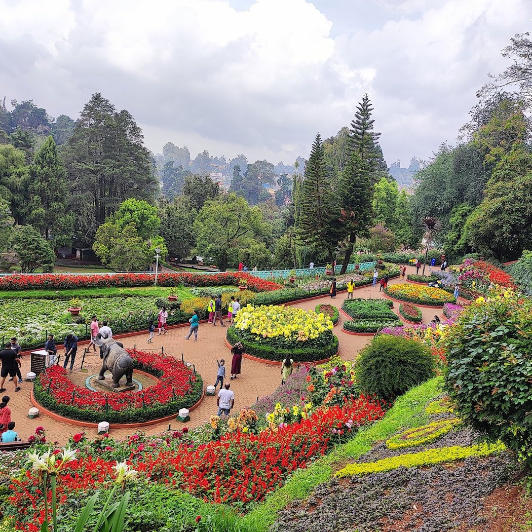 Government Botanical Garden 4