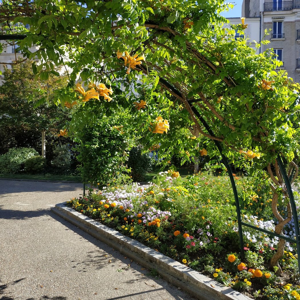 Jardin ouvert la nuit 1