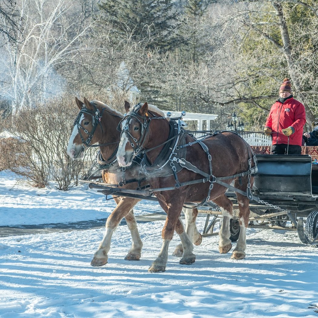 Nestlenook Farm 2