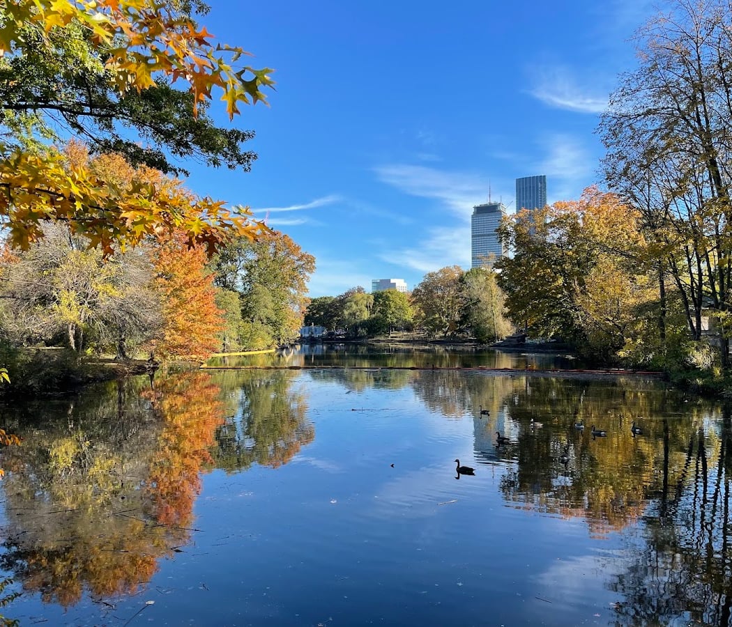 Back Bay Fens Volunteer Stewardship 3