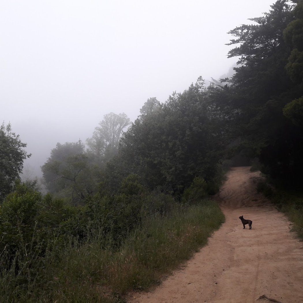 West Ridge Trail 2