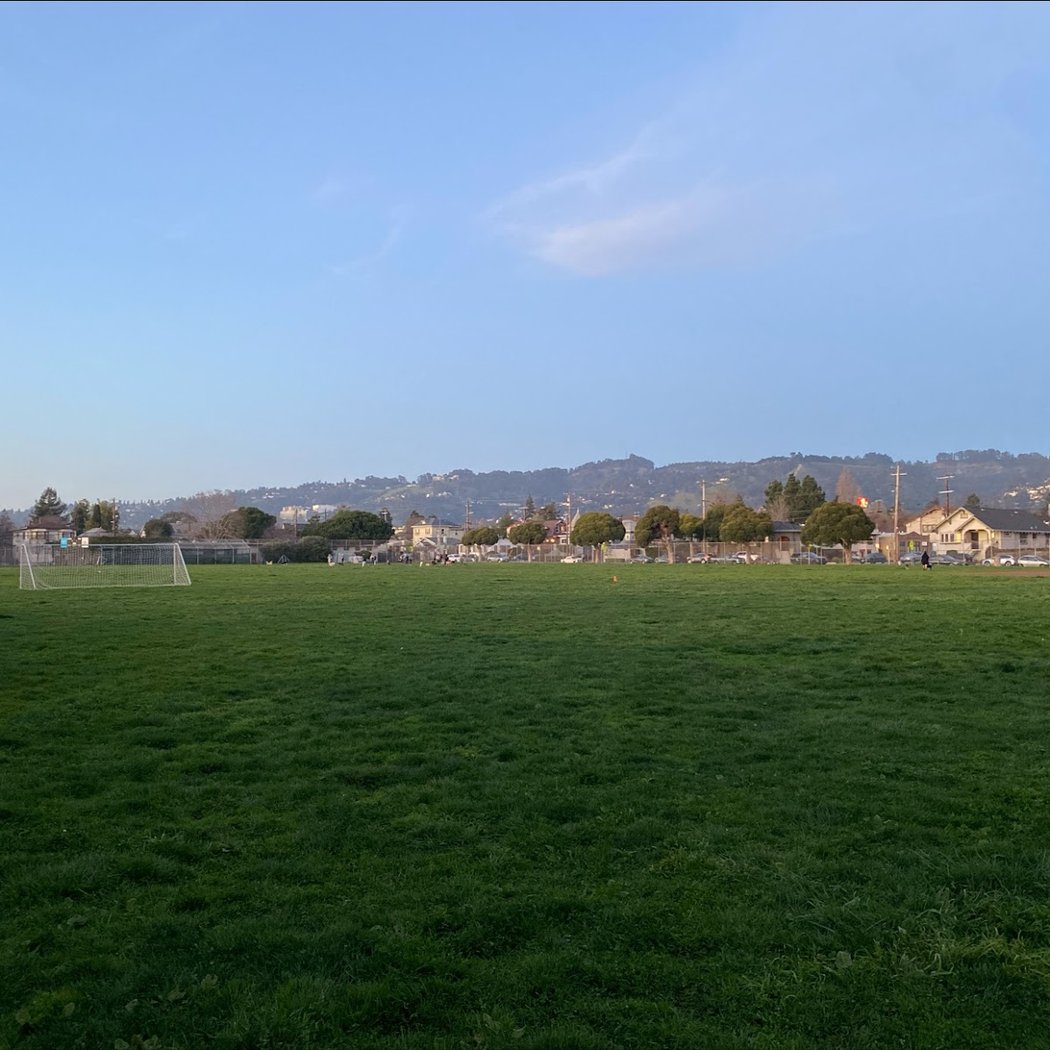 Bushrod Park Baseball Fields 2