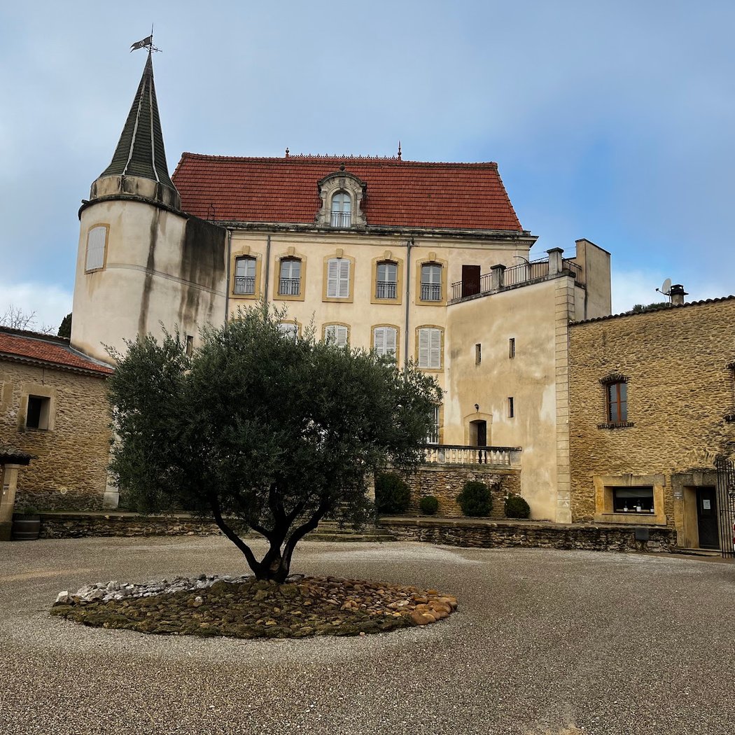 Castle Vaudieu 3