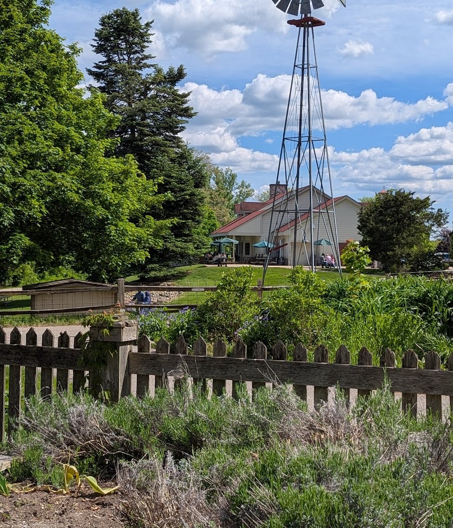 Hayrides 4