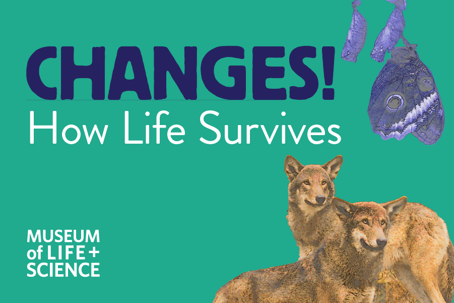 Changes: How Life Survives 1