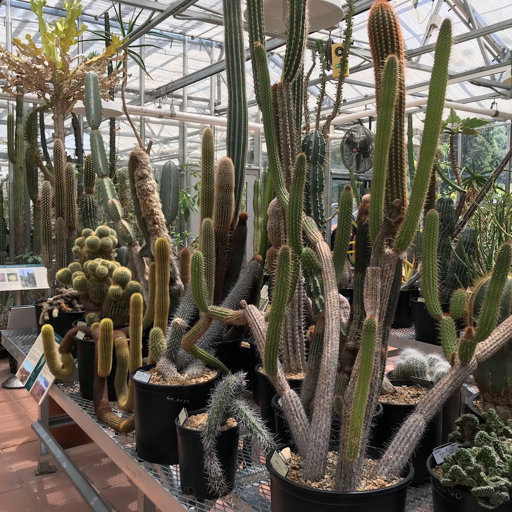 Sick Plant Clinic 3