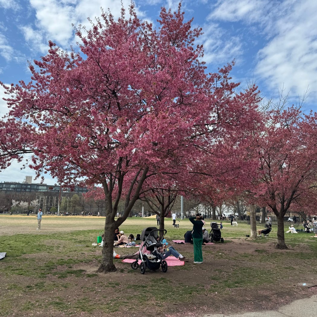 Brooklyn Heights Promenade 2