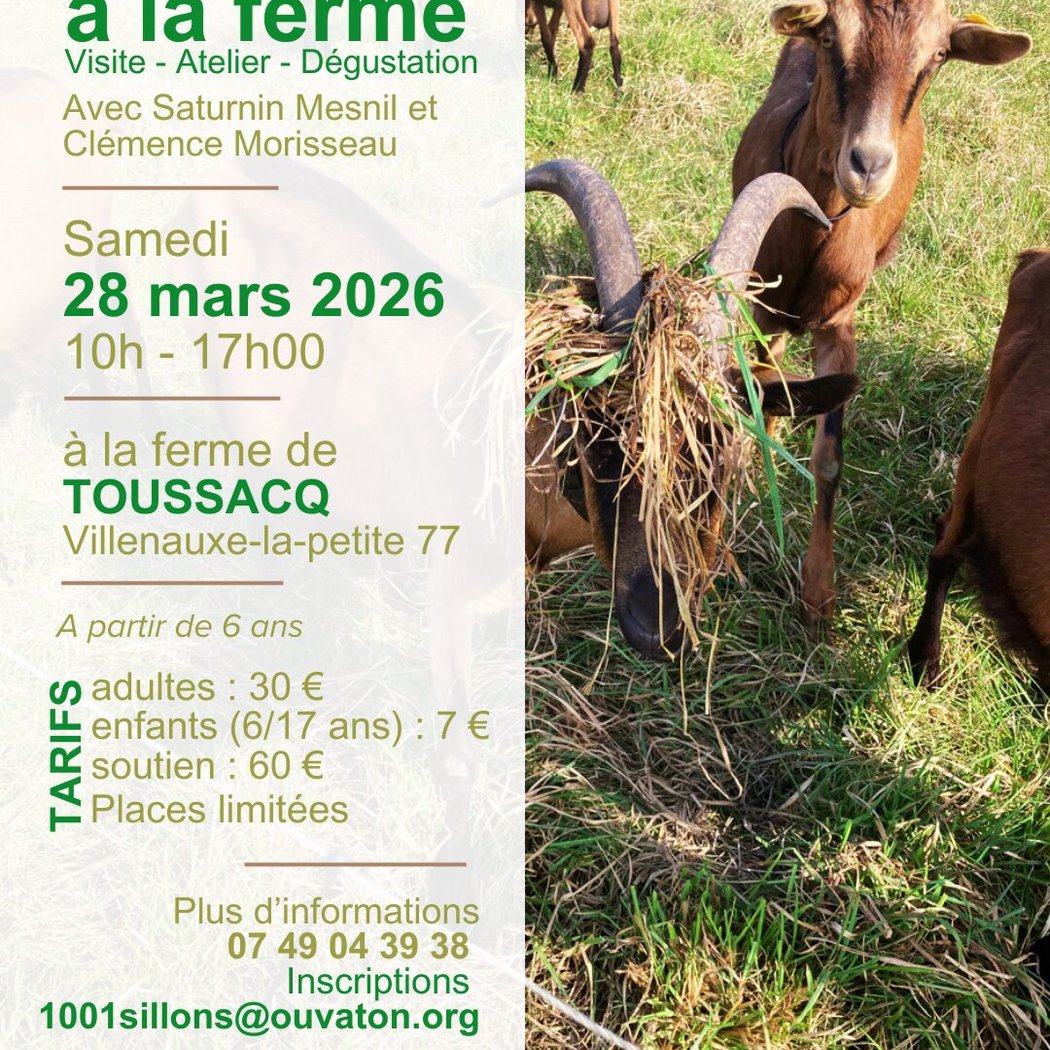 Le printemps à la ferme – Visite, atelier, dégustation 1