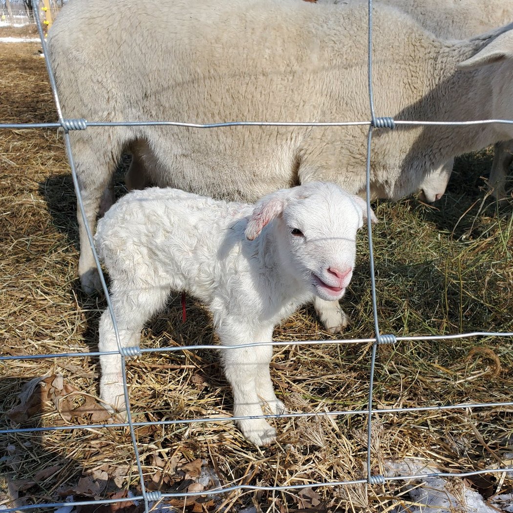 Whitney Farmstead 1