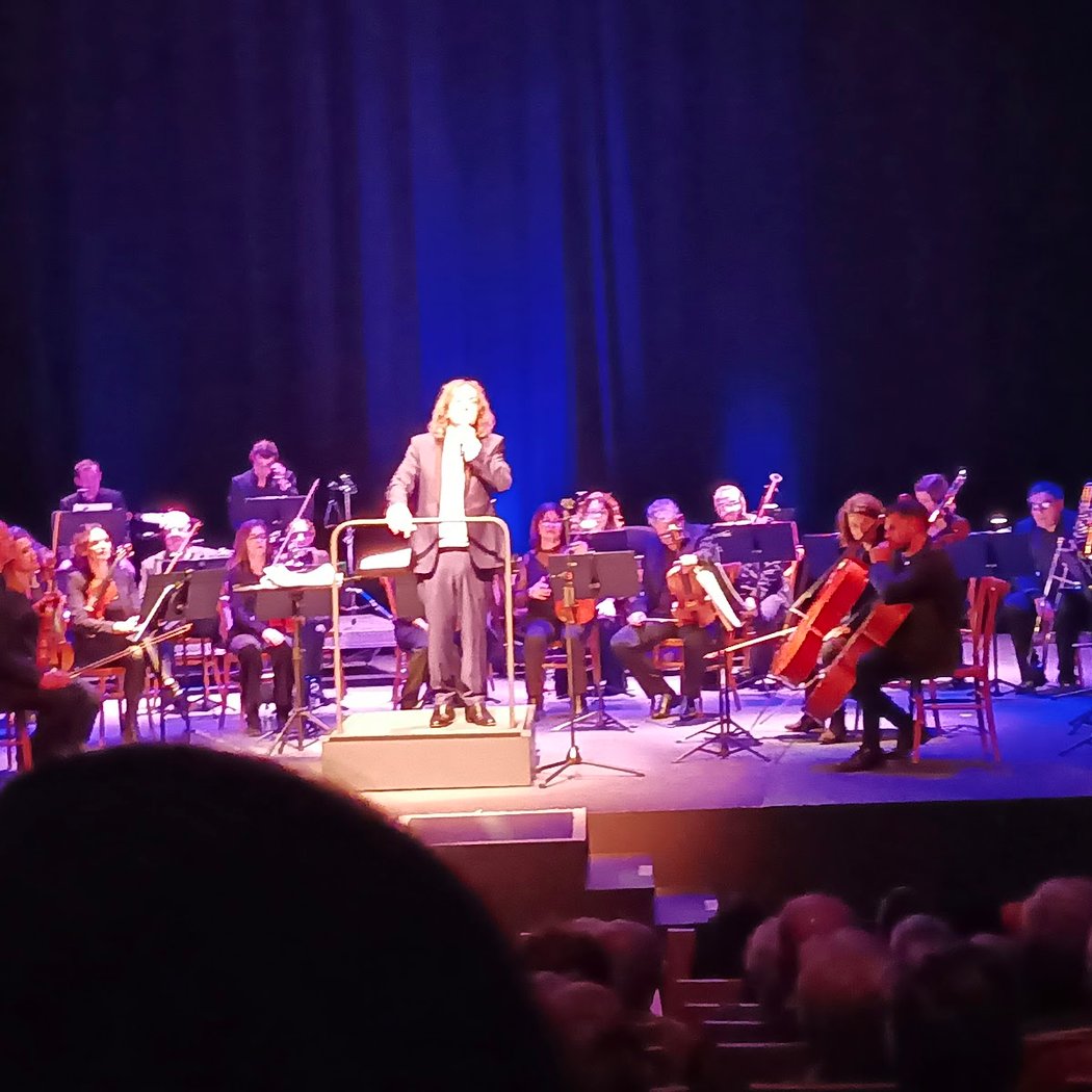 Daniel Guichard en concert 3