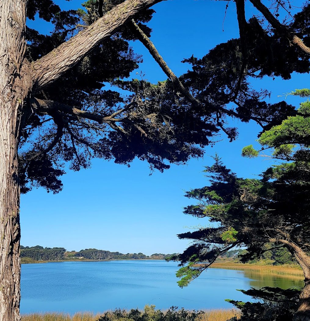 Lake Merced 2