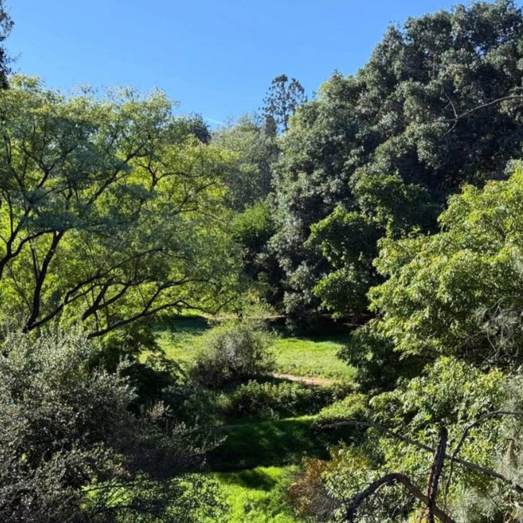 UC Riverside Botanic Gardens 2