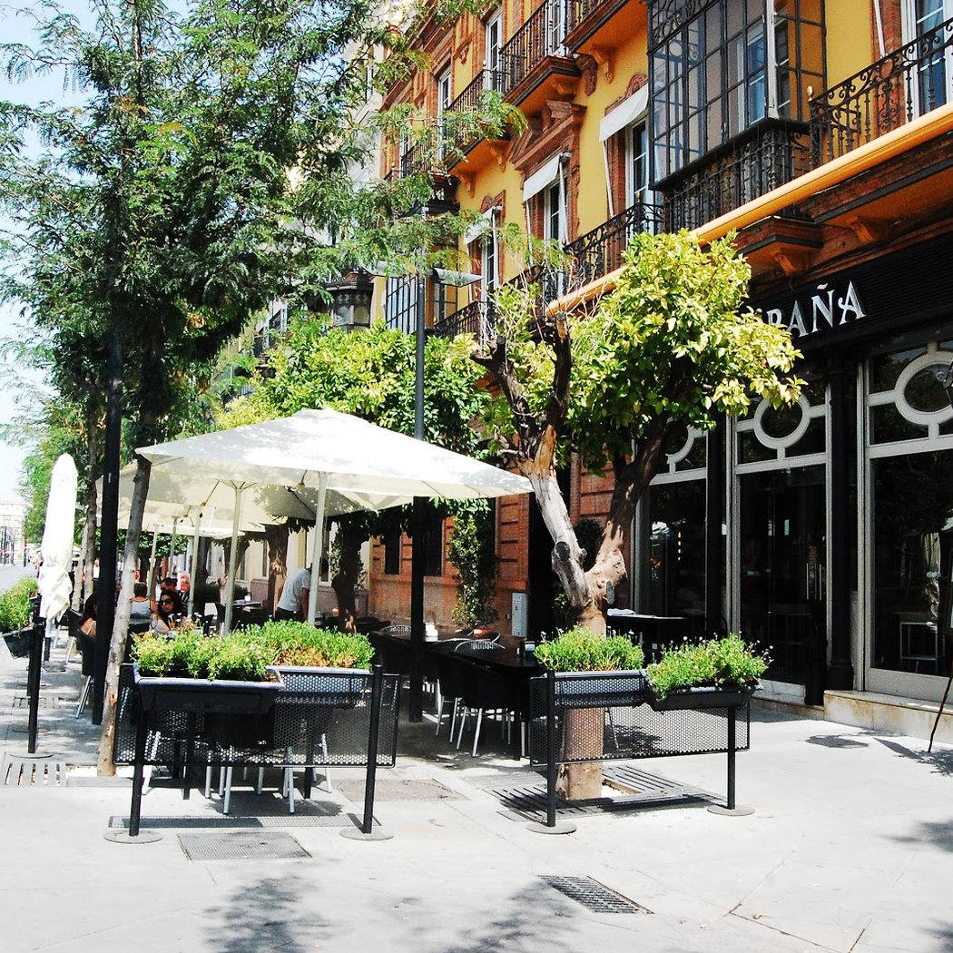 Bar España 2