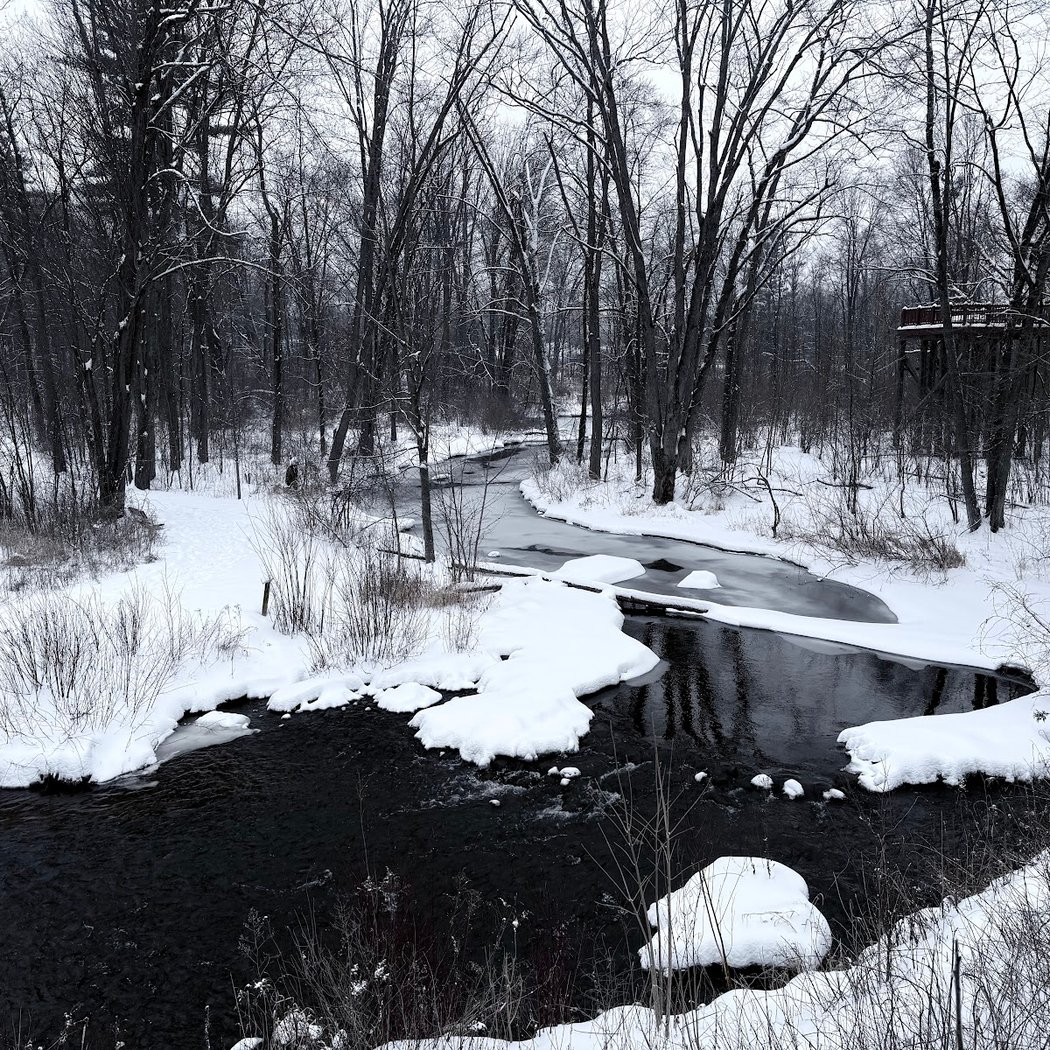 Stony Creek Metropark Nature Center 3