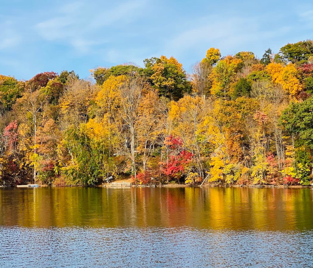 Norvin Green State Forest 1