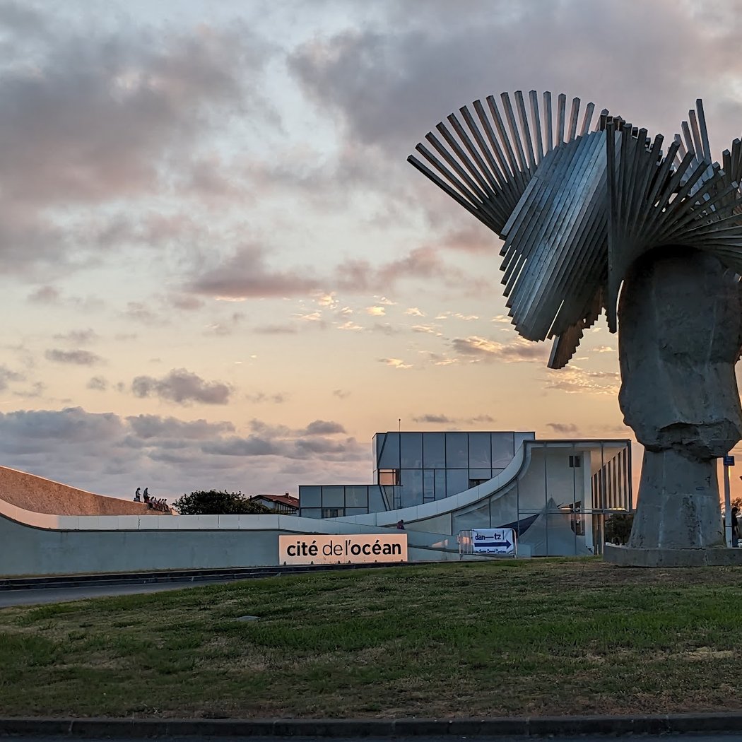 Exposition The Wildlife Odyssey, une immersion photographique au cœur des océans 2