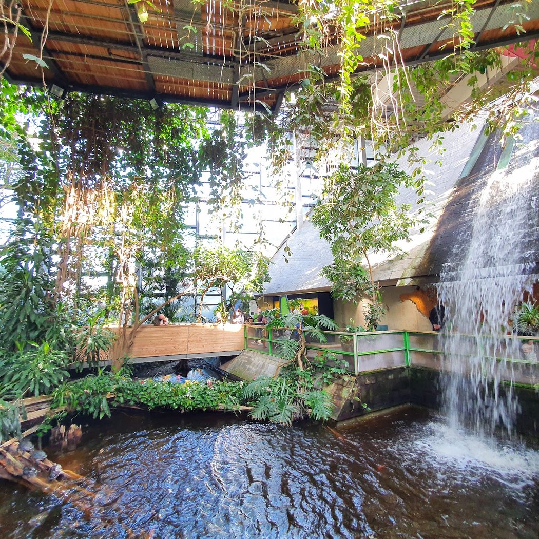 Biosphäre Potsdam 5