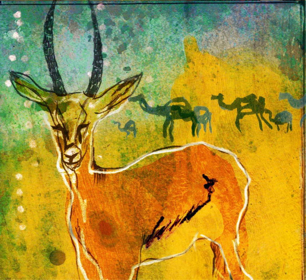 Caravane Gazelle 1