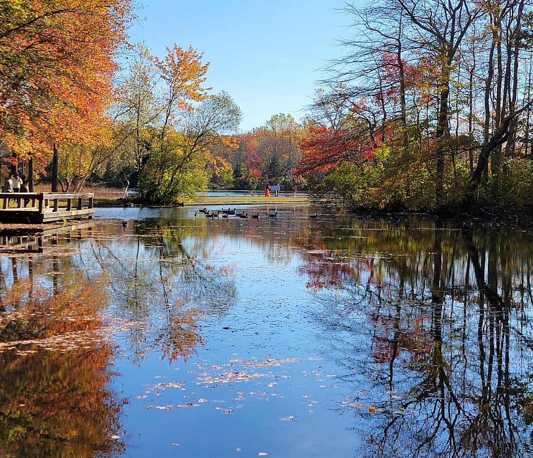 Caleb Smith State Park Preserve 1