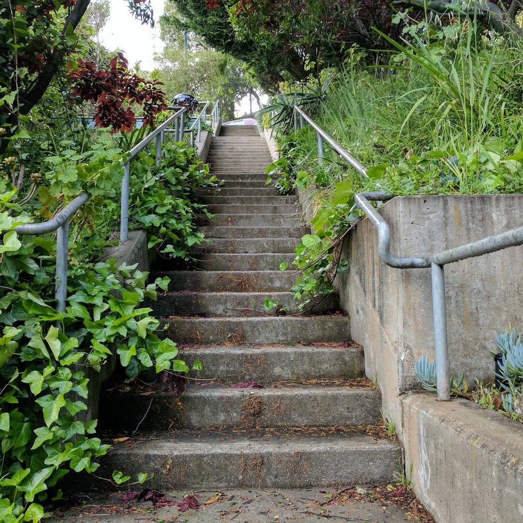 Dogpatch/Miller Memorial Community Garden 3