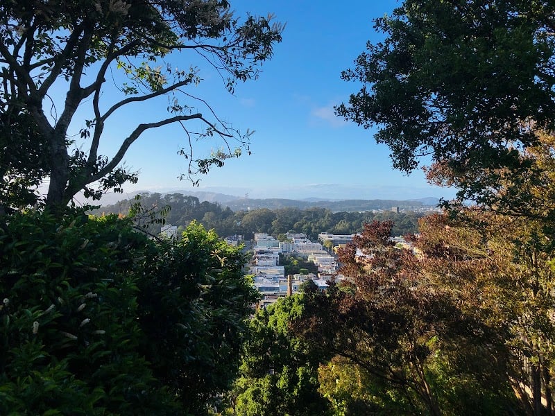 Moraga Steps 2